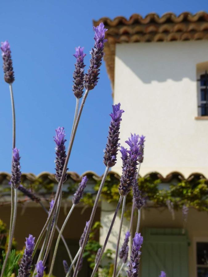 Azurea Bed & Breakfast Valbonne Exterior photo